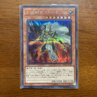 守護神官マハード シークレットレア　ブラック・マジシャン　デッキに