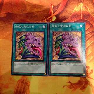 強欲で貪欲な壺 ノーマル2枚セット