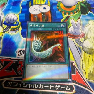 ハーピィの羽根帚