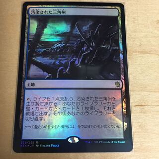 FOIL 汚染された三角州/Polluted Delta