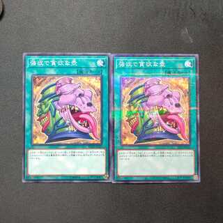 強欲で貪欲な壺 ノーマル+パラレル各1枚