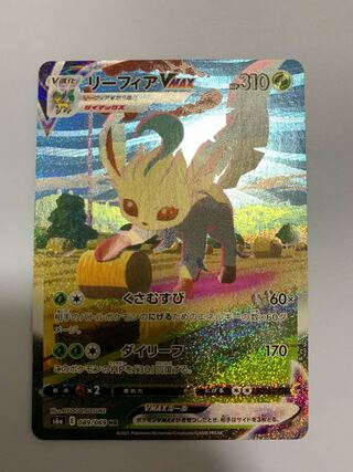 リーフィアVMAX SA