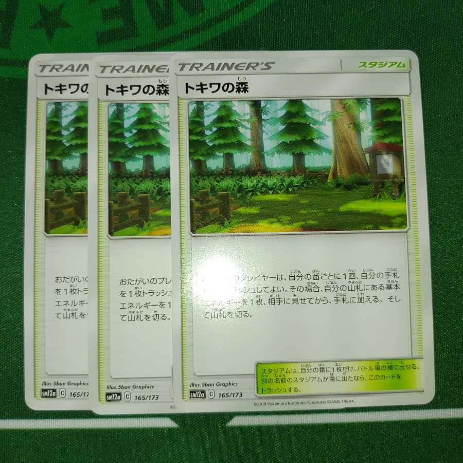 トキワの森 165/173