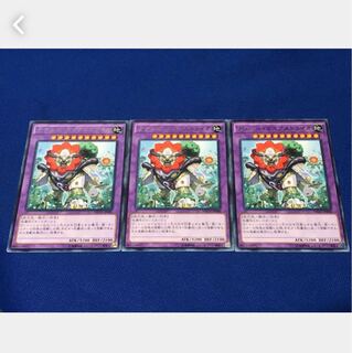 【ぽぽたん】遊戯王 #296   ナチュル・ガイアストライオ 3枚 レア