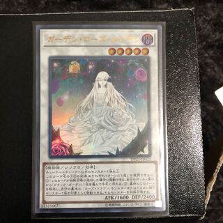 ガーデン・ローズ・メイデン