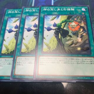 神の写し身との接触