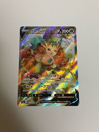 31011547様専用　① リーフィアv