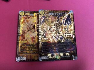 サッヴァーク2枚セット