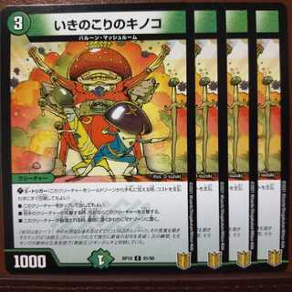 kin1445 set discount iki no kirinokoro no kinoko