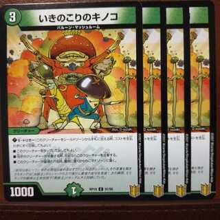 kin1446 set discount ikigonori no kinoko