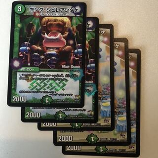 キングシビレアシダケ　5枚