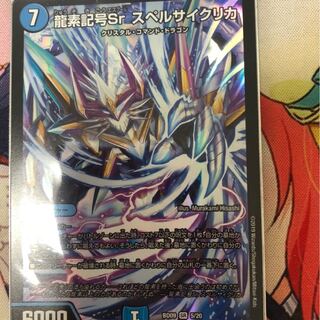 専用　サイクリカ