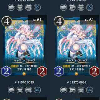 キャスコ・フレープ 2枚セット