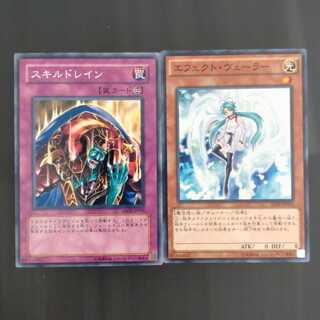 スキルドレイン＋エフェクトヴェーラー　【木林堂】