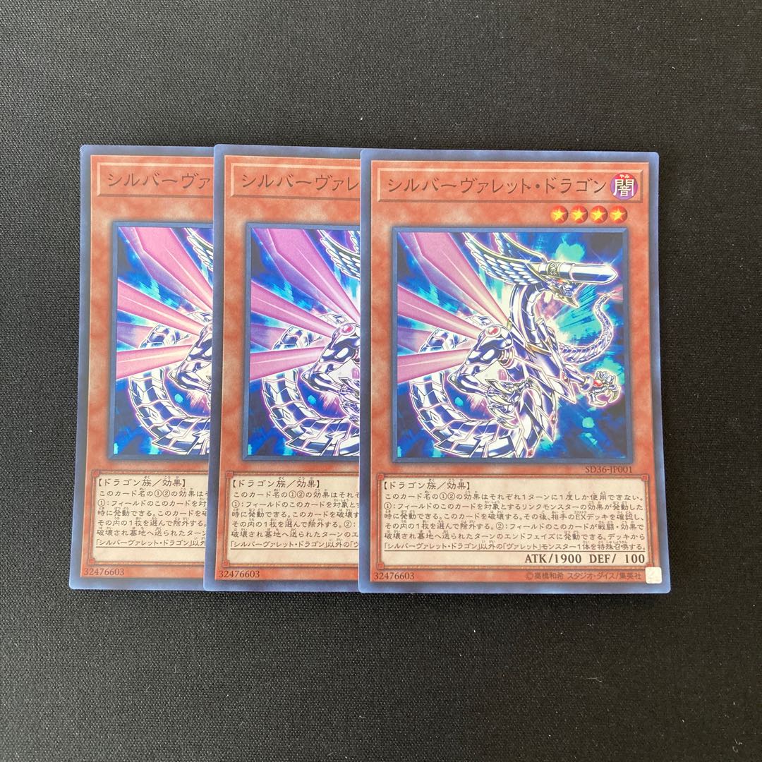 専用(4点)m14 シルバーヴァレット・ドラゴン トレトレ