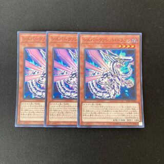 専用（4点）m14 シルバーヴァレット・ドラゴン トレトレ