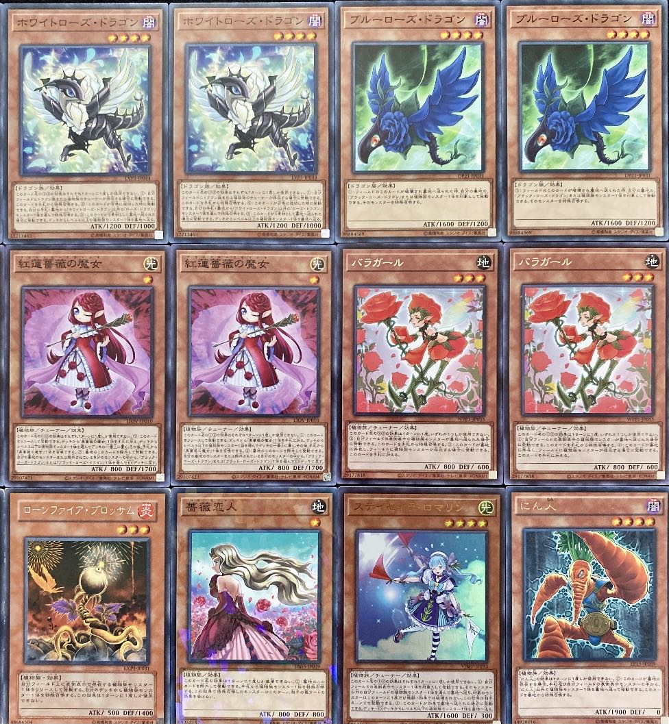 遊戯王 本格構築 ローズドラゴンデッキ メイン+EX+サイド