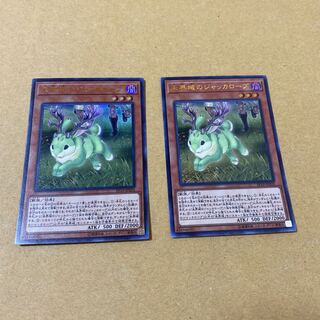 未界域のジャッカロープ ウルトラレア　2枚セット