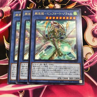 颶風龍-ビュフォート・ノウェム レア