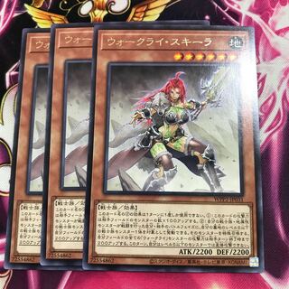 ウォークライ・スキーラ