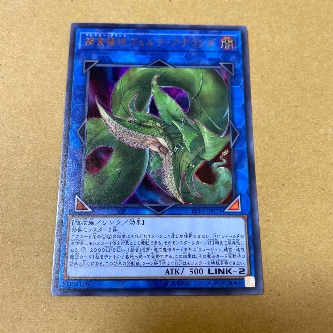 捕食植物ヴェルテ・アナコンダ ウルトラレア