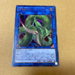 捕食植物ヴェルテ・アナコンダ ウルトラレア