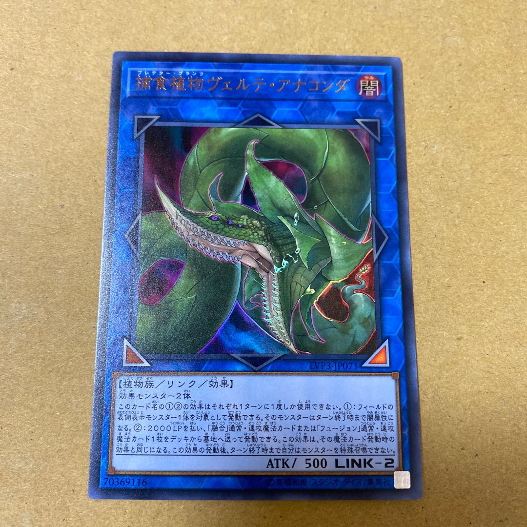 捕食植物ヴェルテ・アナコンダ ウルトラレア②