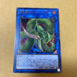 捕食植物ヴェルテ・アナコンダ ウルトラレア②