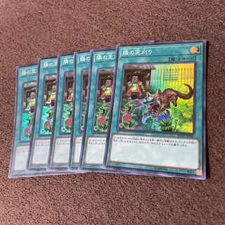 【６枚セット】隣の芝刈り スーパーレアRC02-JP041