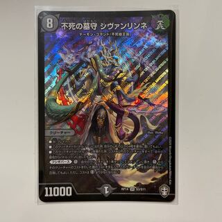 不死の墓守 シヴァンリンネ