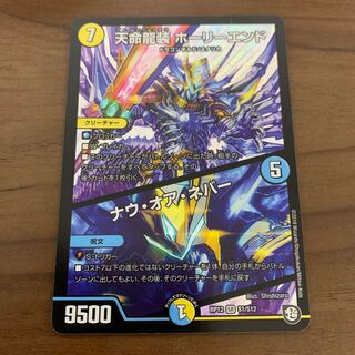 天命龍装 ホーリーエンド/ナウ・オア・ネバー