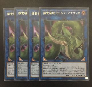 特大セール中　遊戯王捕食植物ヴェルテアナコンダ　ウルトラ