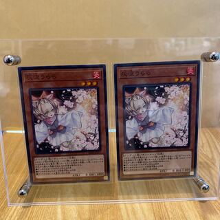 灰流うらら　2枚セット　ノーマル