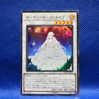 ガーデン・ローズ・メイデン ウルトラレア