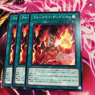 ウォークライ・ディグニティ ノーマル