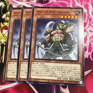 ウォークライ・マムード ノーマル