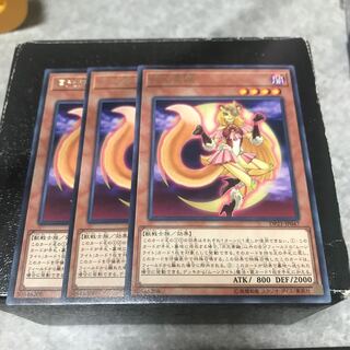 月光黄鼬 レア3枚