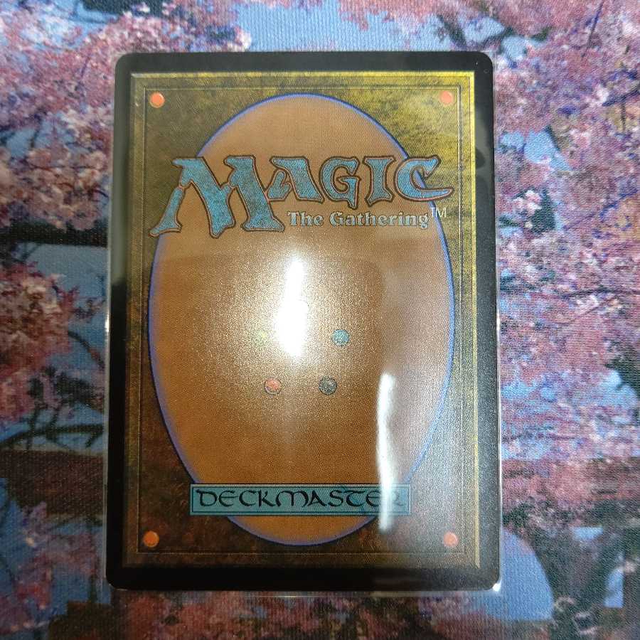 特価品《厚かましい借り手》