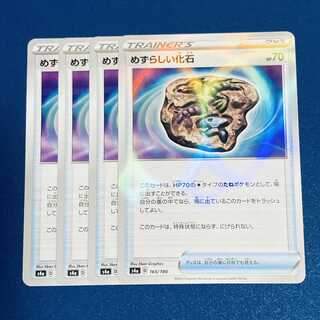 めずらしい化石