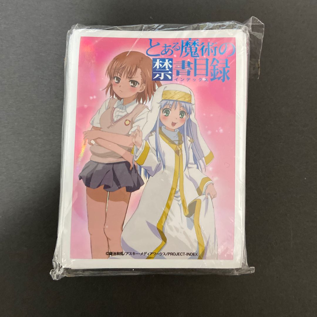 Toaru Majutsu no Index Catalog Moe Sleeve