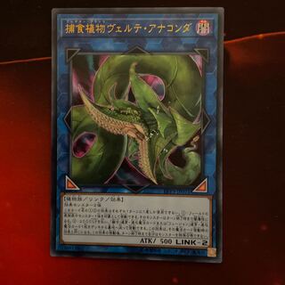 捕食植物ヴェルテ・アナコンダ