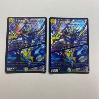 天命龍装 ホーリーエンド/ナウ・オア・ネバー　2枚