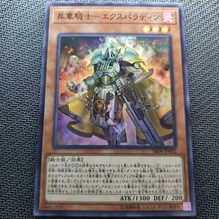 昇華騎士-エクスパラディン スーパーレア