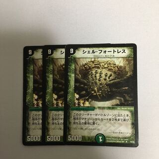 シェルフォートレス