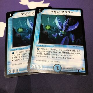 マリンフラワー2枚