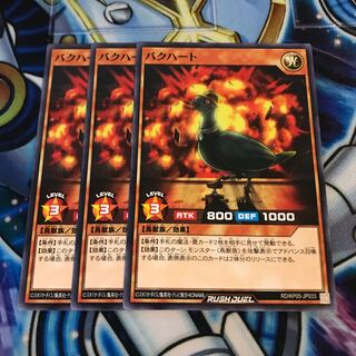 バクハート　ノーマル　Hulu 1818