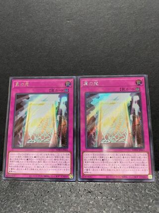 真の光 シークレットレア×2（選べるオマケ付き）