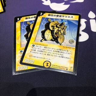 専用　サリエス2枚