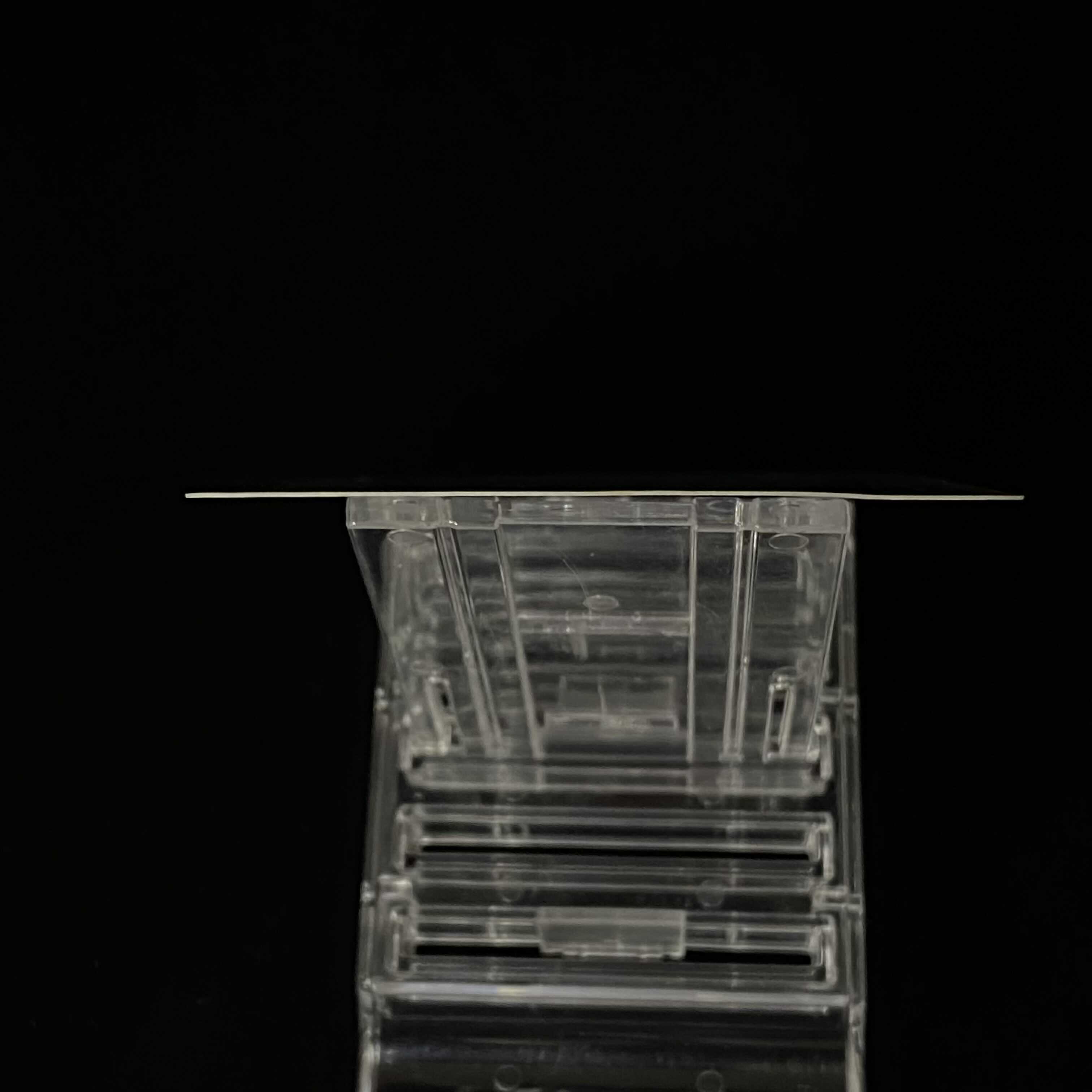 Hikaru Magikarp Fan Krabby Edition Promo Old Back Kira