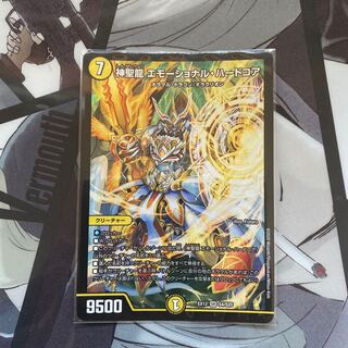 神聖龍 エモーショナル・ハードコア SR